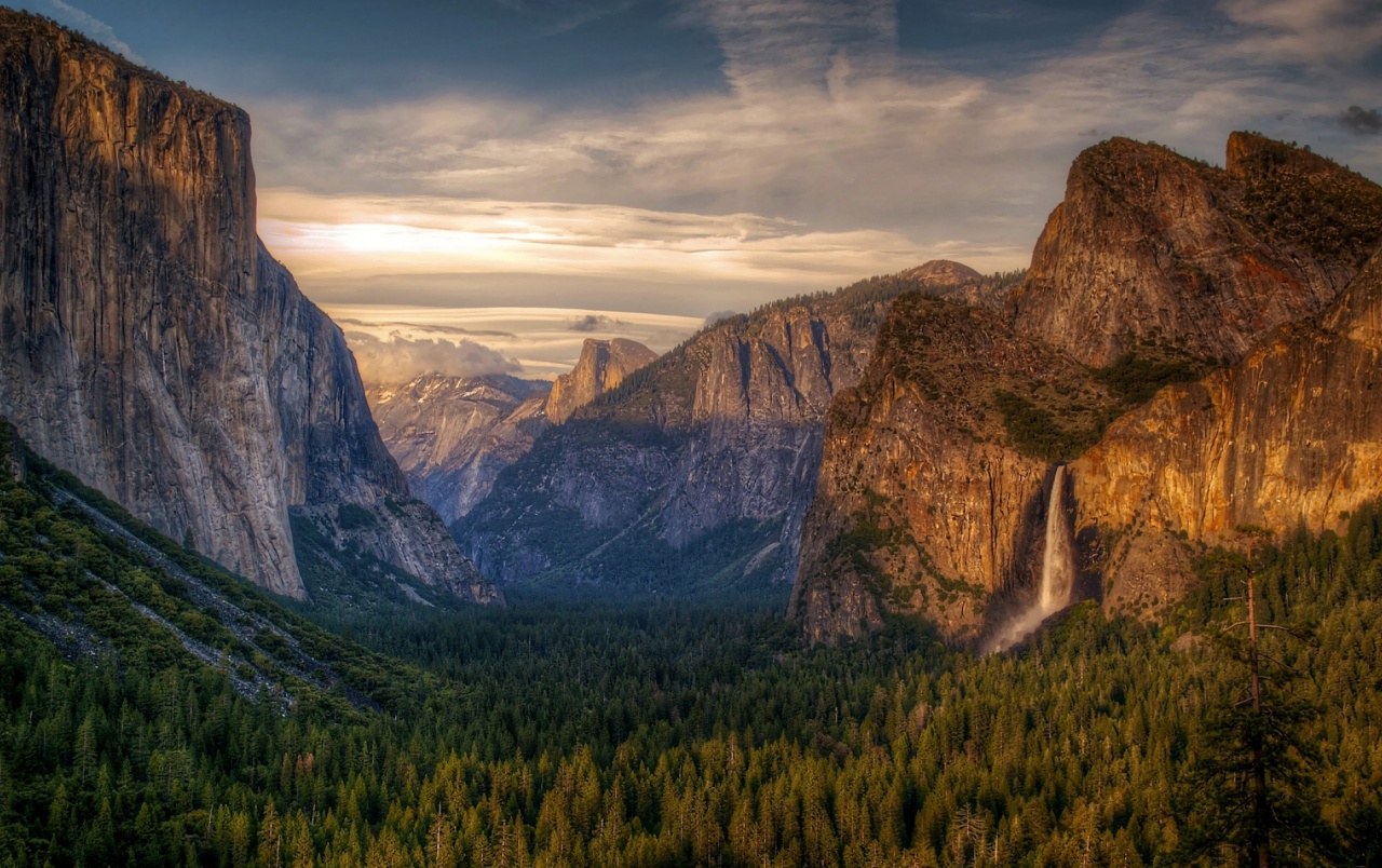 Yosemite Wallpaper Beautiful Trees Rocks Stock Photos
