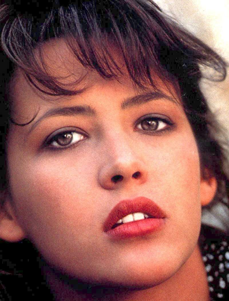 Sophie Marceau Image HD Wallpaper And Background