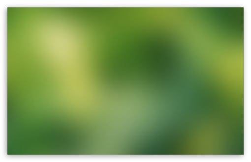 Green Blurry Background HD Wallpaper For Standard Fullscreen