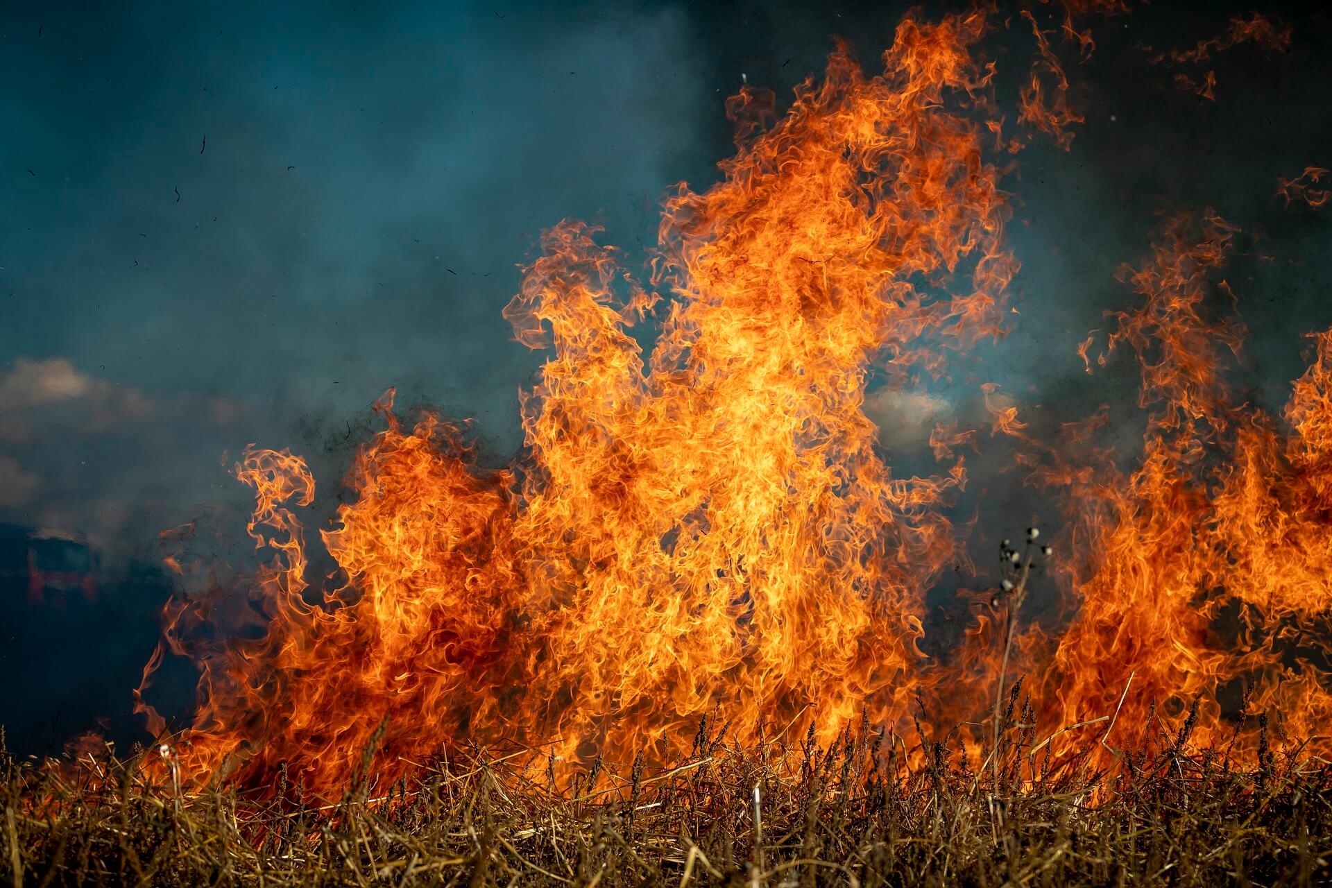 Remote Sensing Helping To Improve Wildfire Tracking Wallpaper