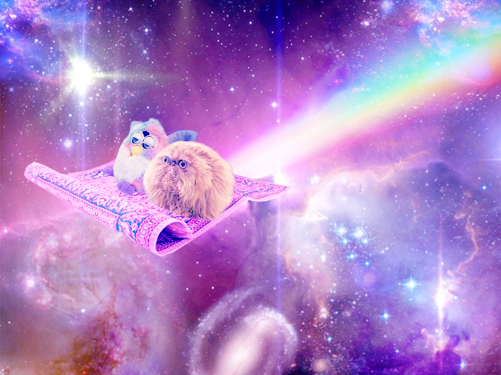 Cat Wallpaper Space