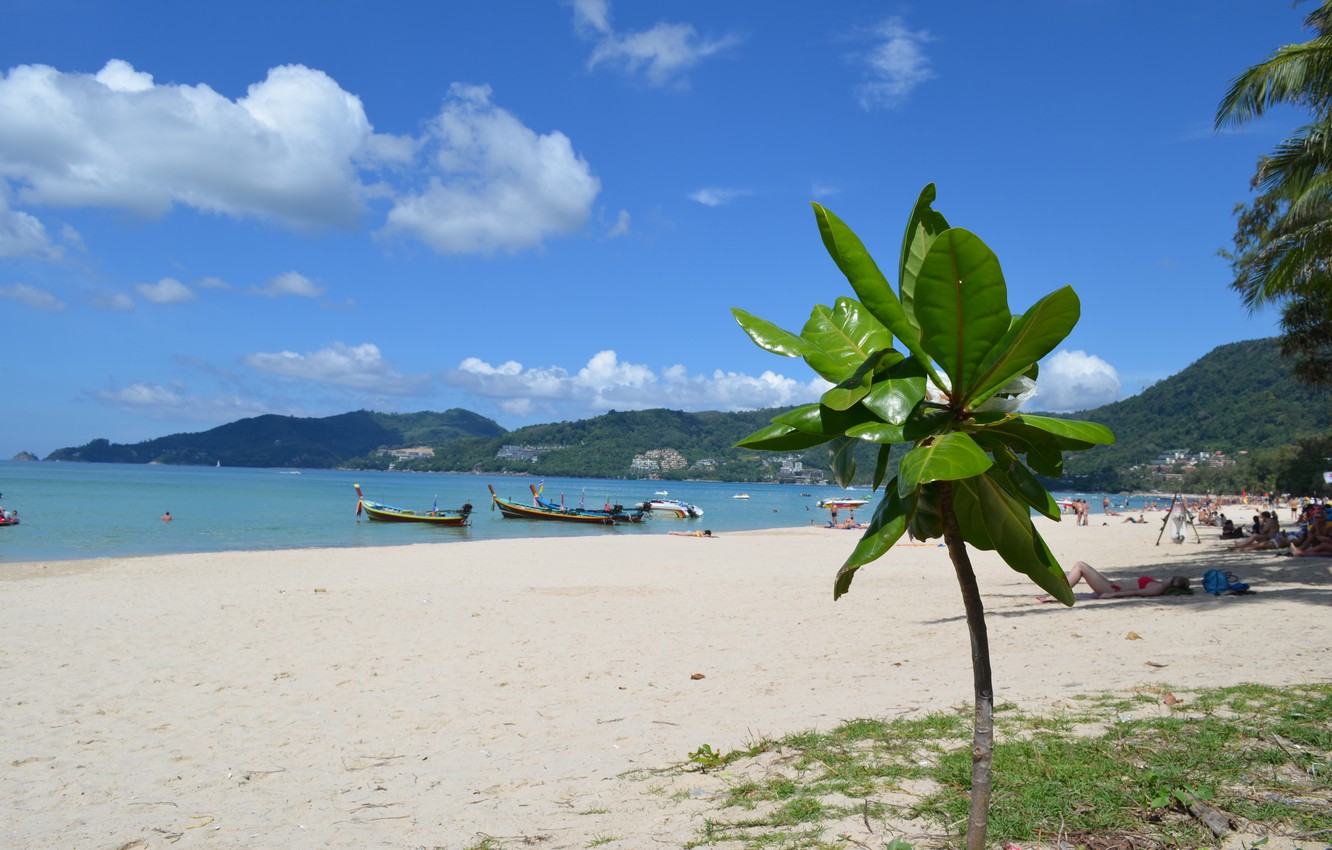 Wallpaper Sea Beach Travel Island Jungle Bay Thailand Cote