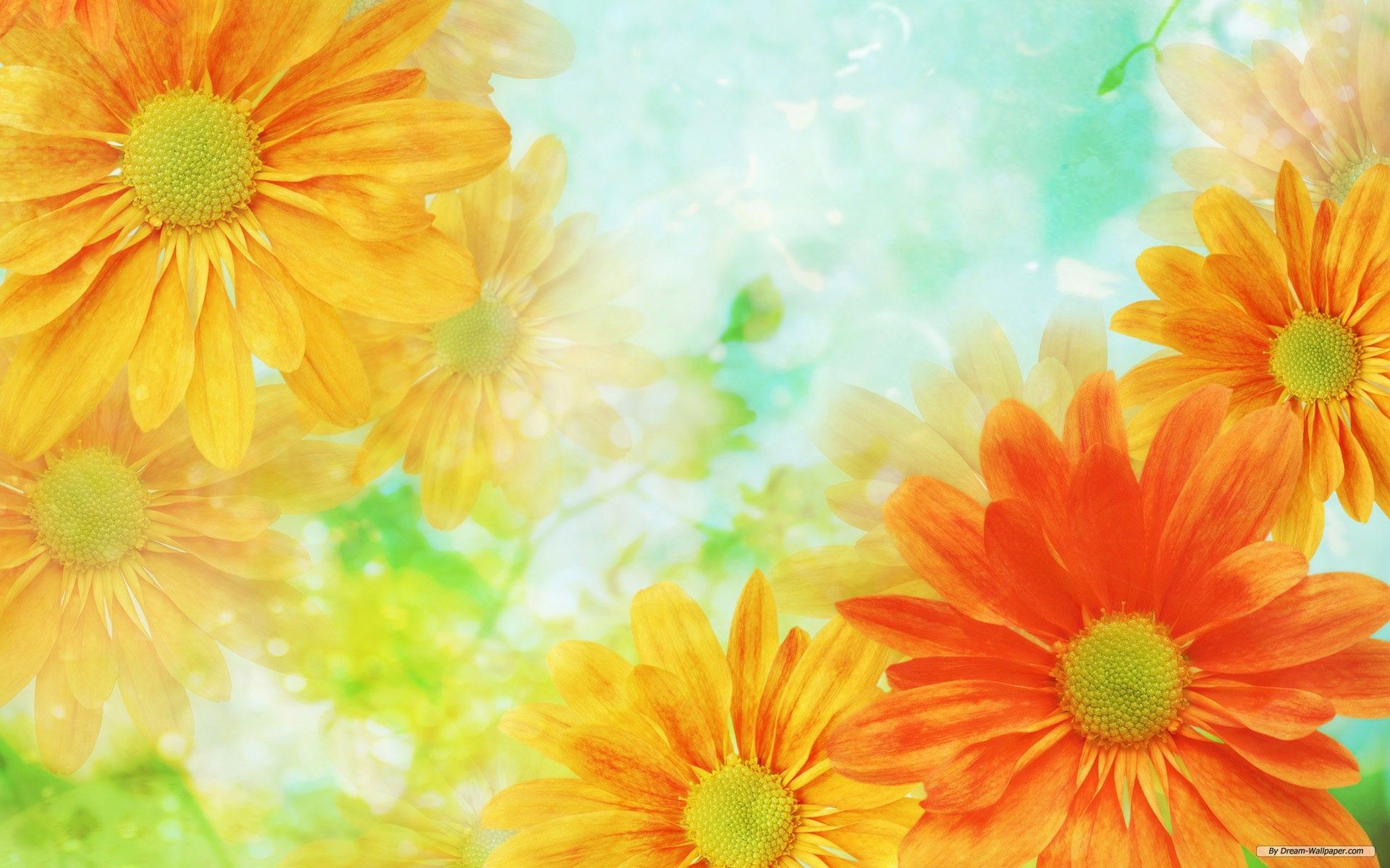 Best Wallpaper Image Flowers Background