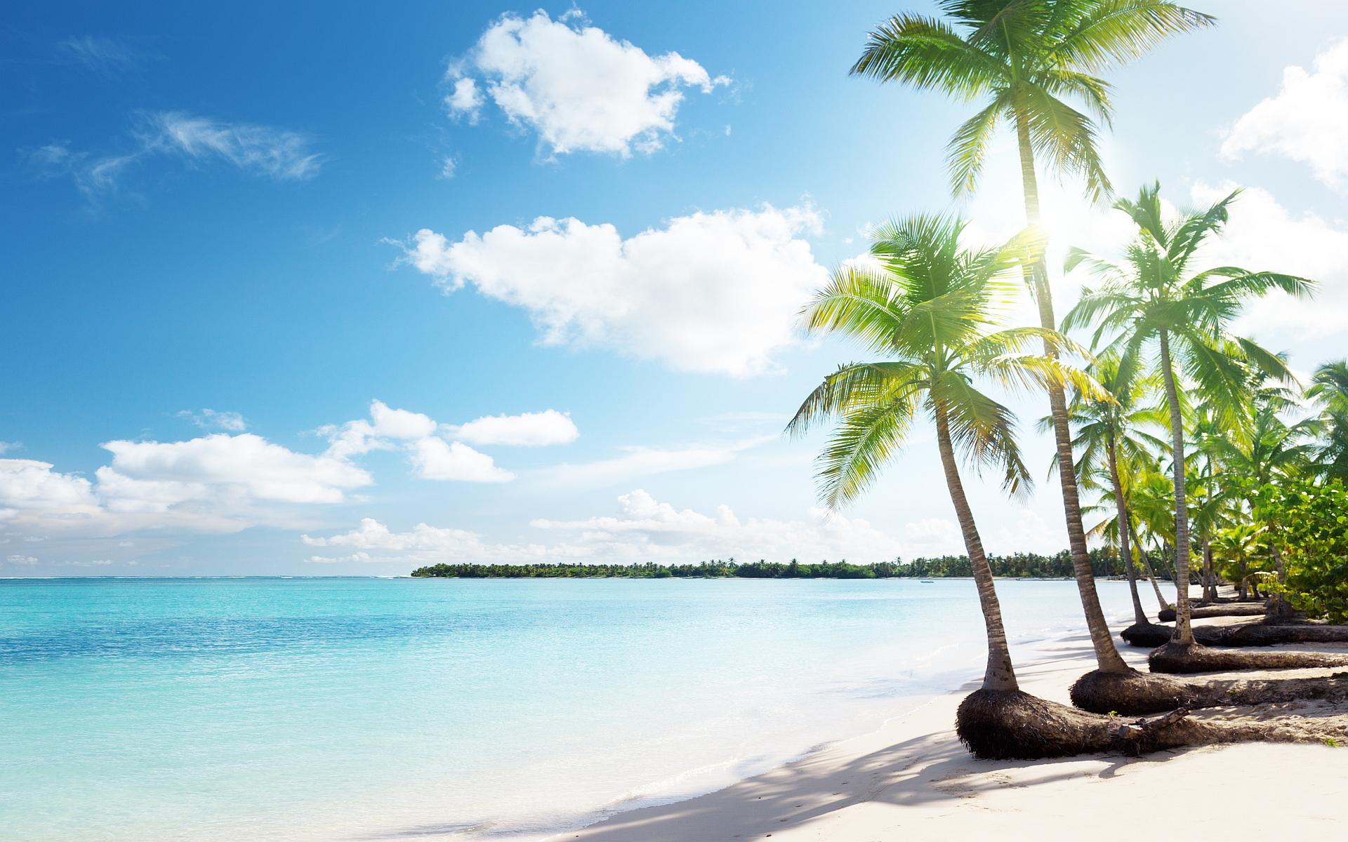 Beach Palms Sand Vacation Wallpaper