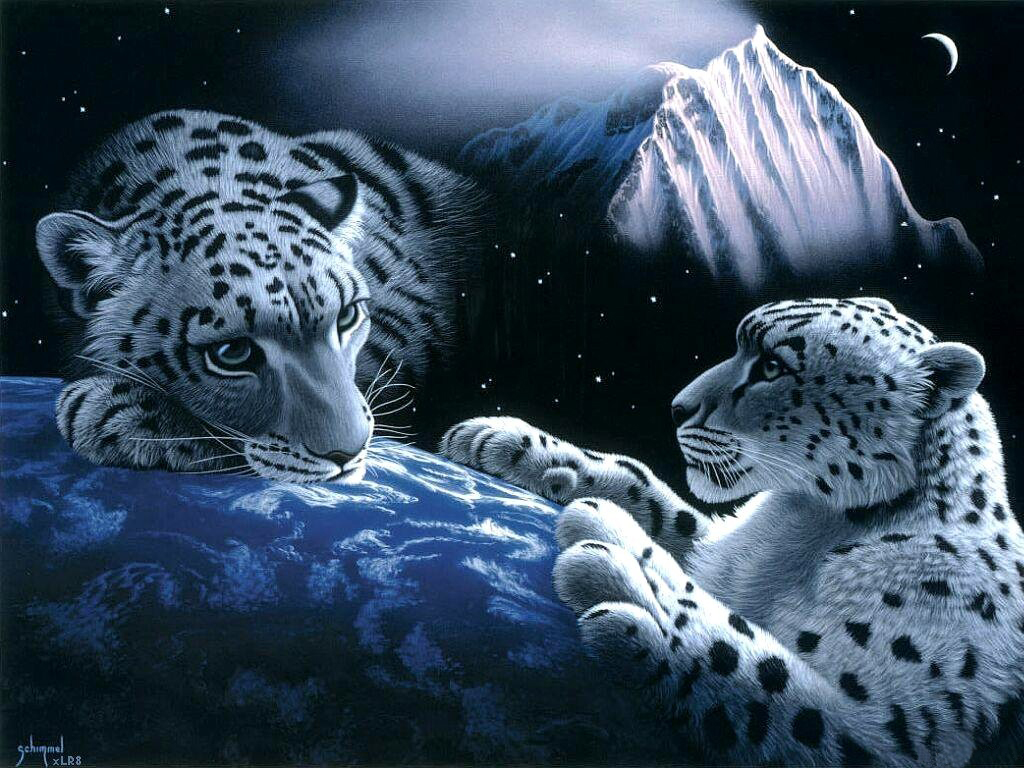 Fantasy Cheetah Image Wallpaper Full HD