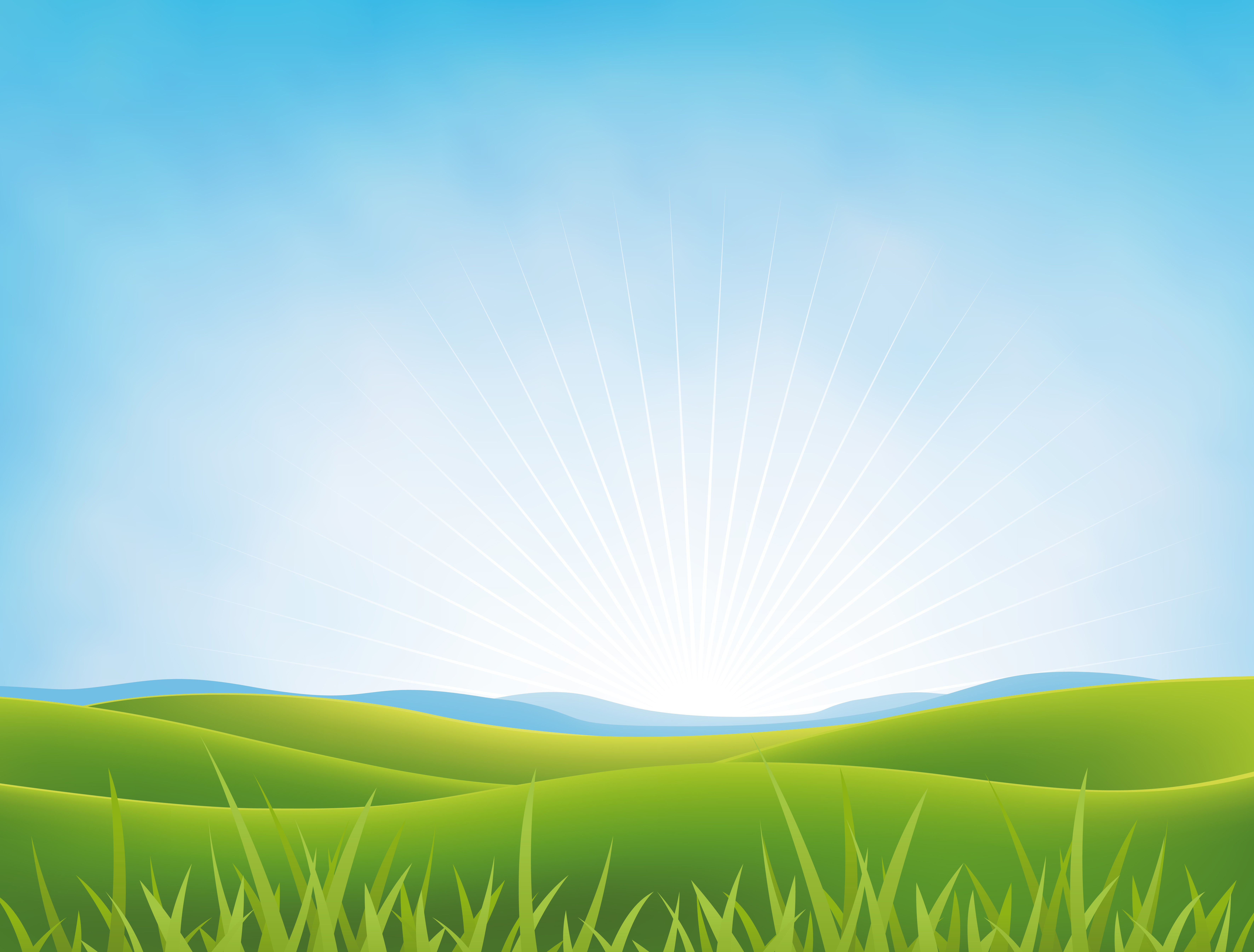 Summer Or Spring Meadows Background Vectors