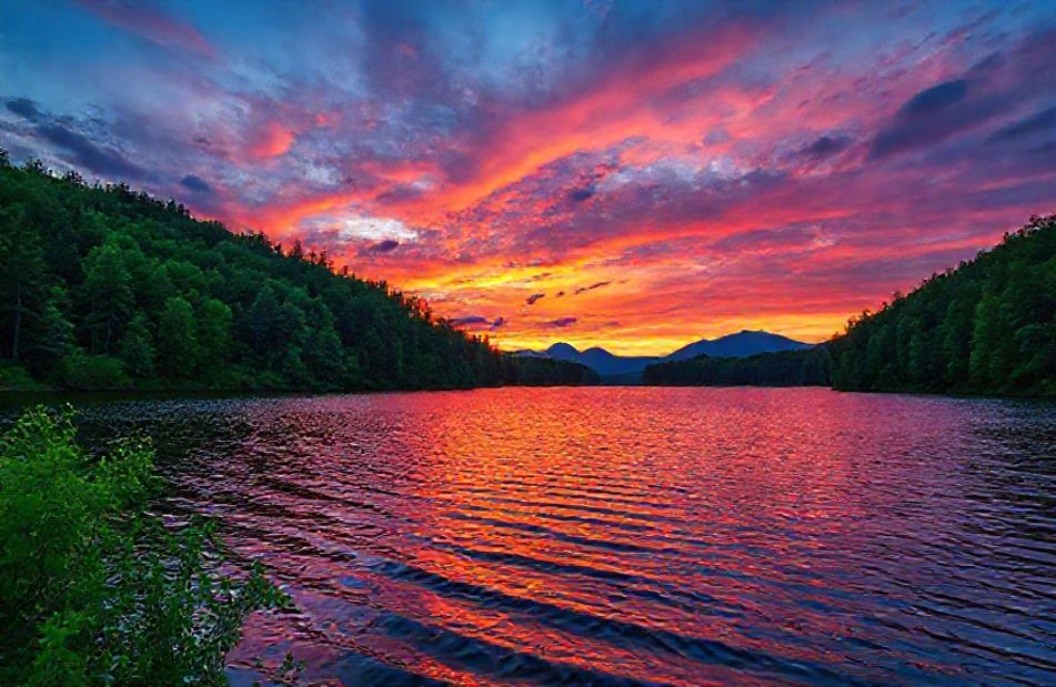 8k Nature Wallpaper