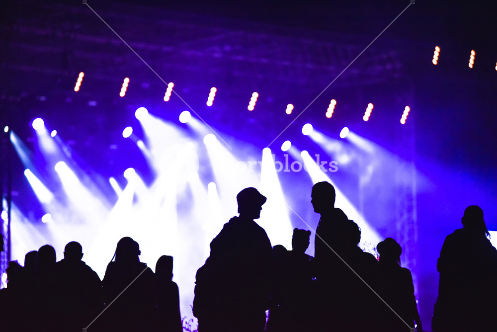 Group Of Friends Enjoying Music Festival Together Silhouette