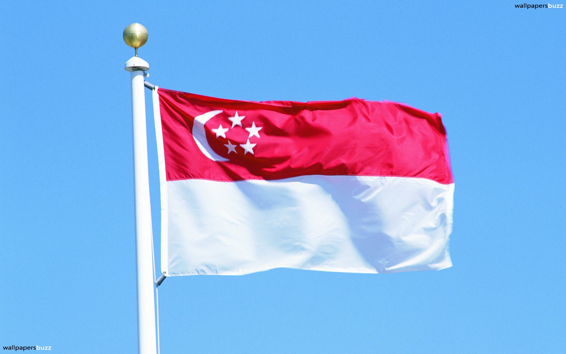The Traditional Flag Of Singapore HD Wallpaper