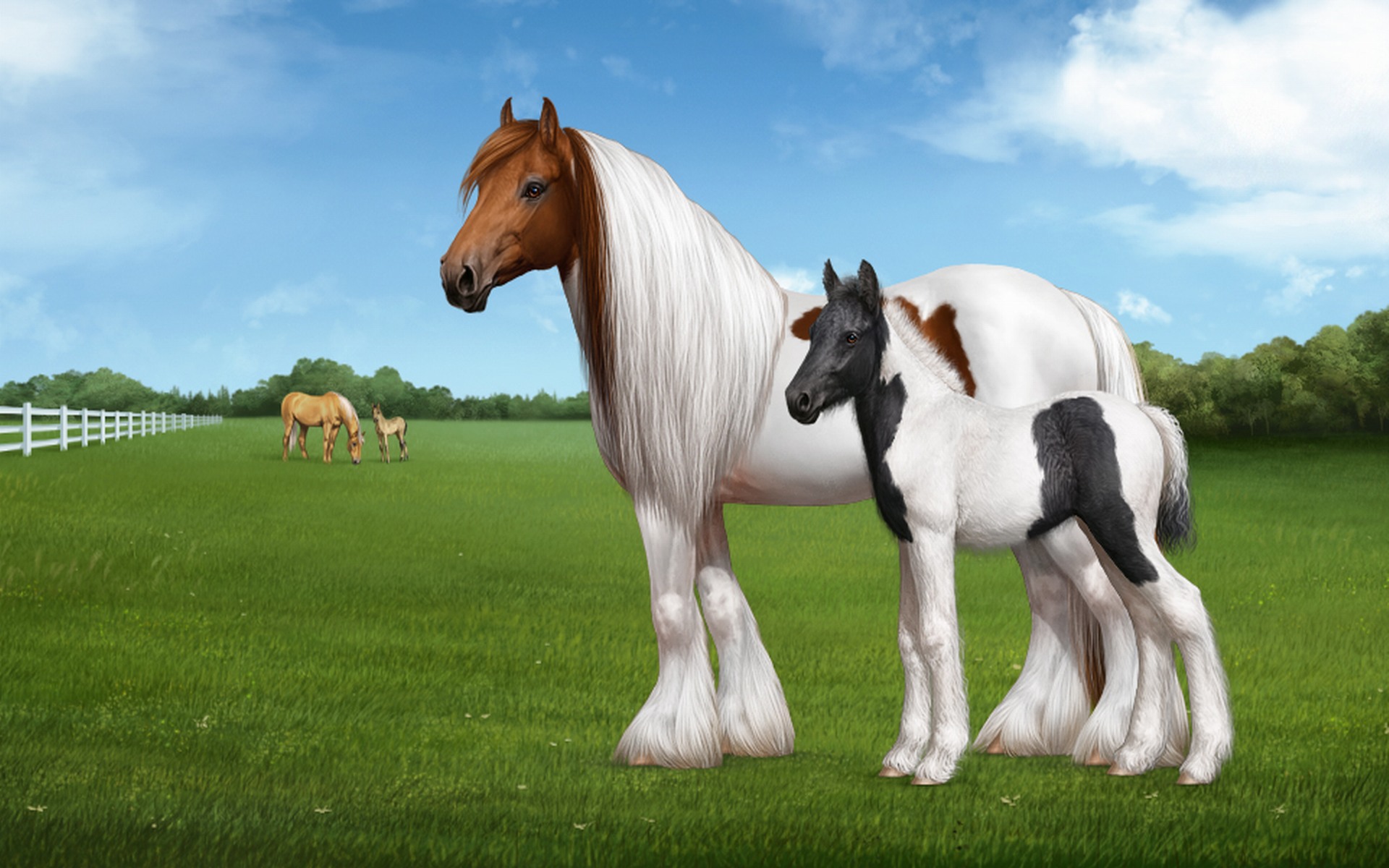HD Horse Background Desktop Wallpaper