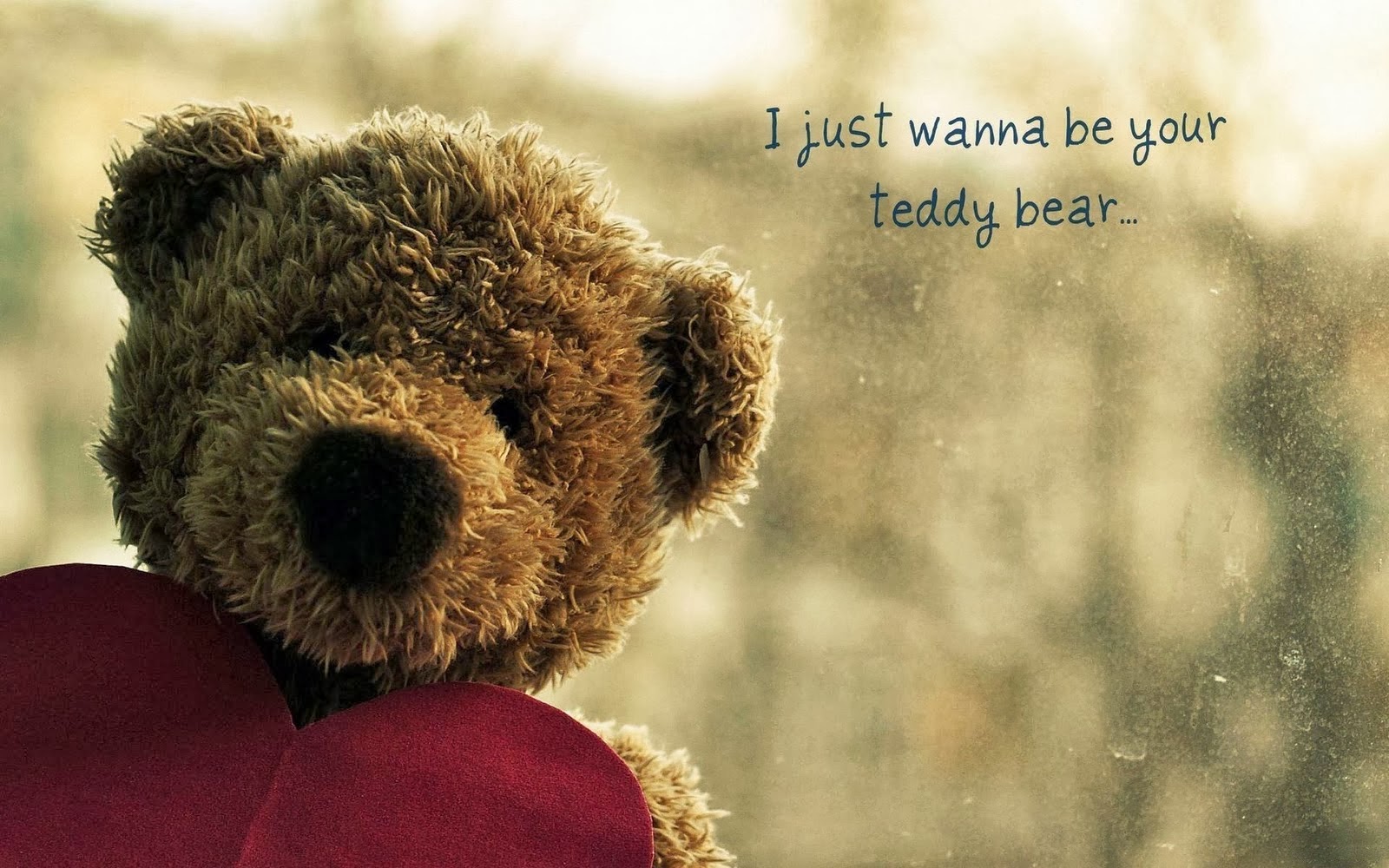 Wanna Be Your Teddy Bear Text HD Wallpaper Jpg