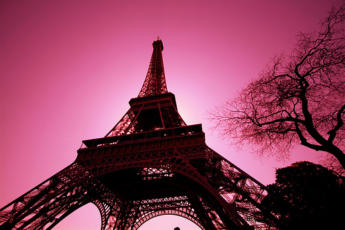 Paris Pink By Kelly