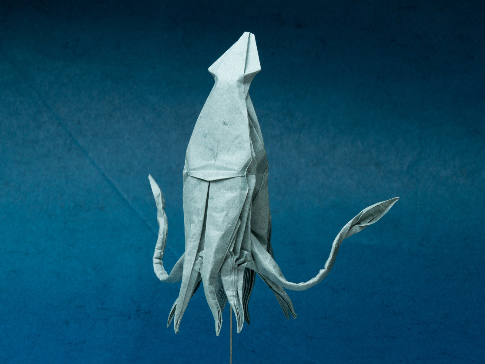 giant squid wallpaper 1600x1200