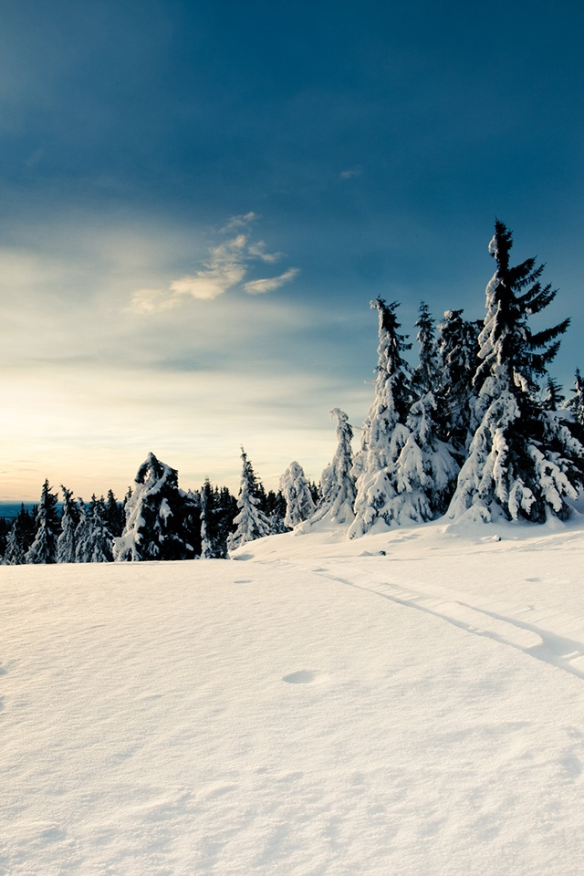 Winter Mountain Top iPhone 4s Wallpaper