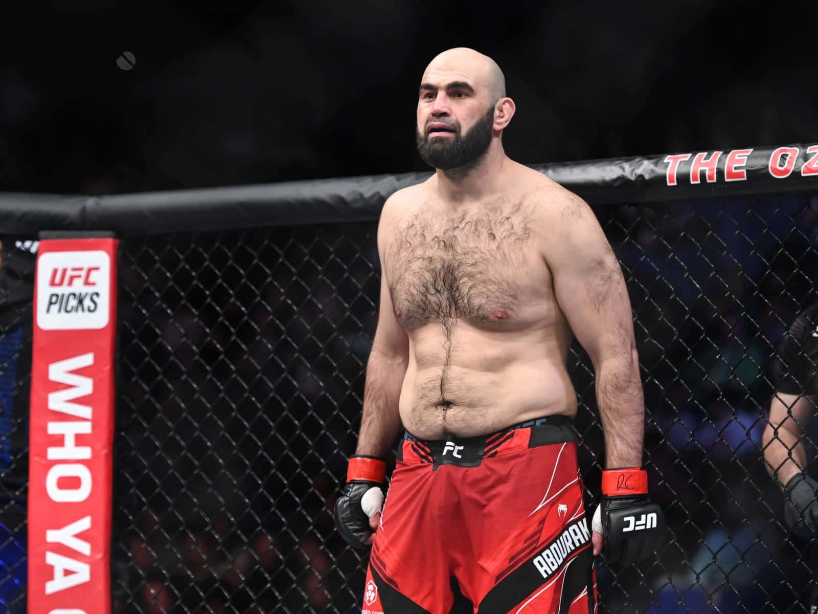 Shamil Abdurakhimov Wearing Red Shorts Wallpaper