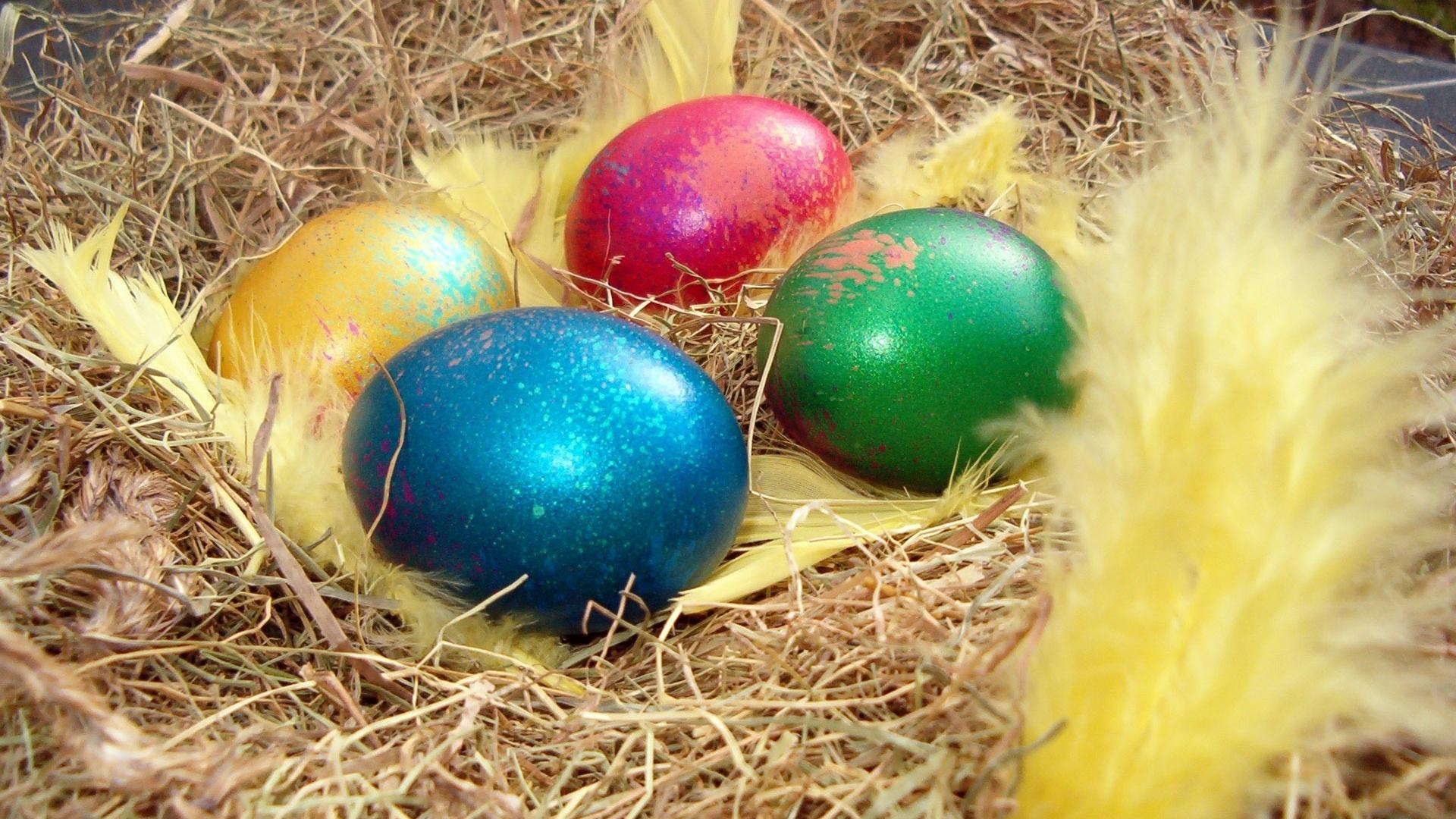 Easter Eggs Pictures HD Wallpaper Photos Happy Day