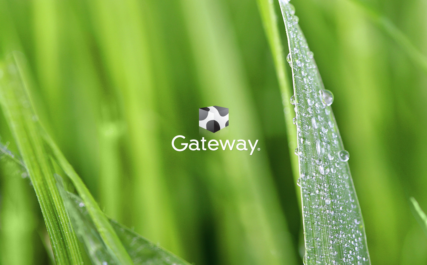 Gateway Puter Desktop Wallpaper In HD