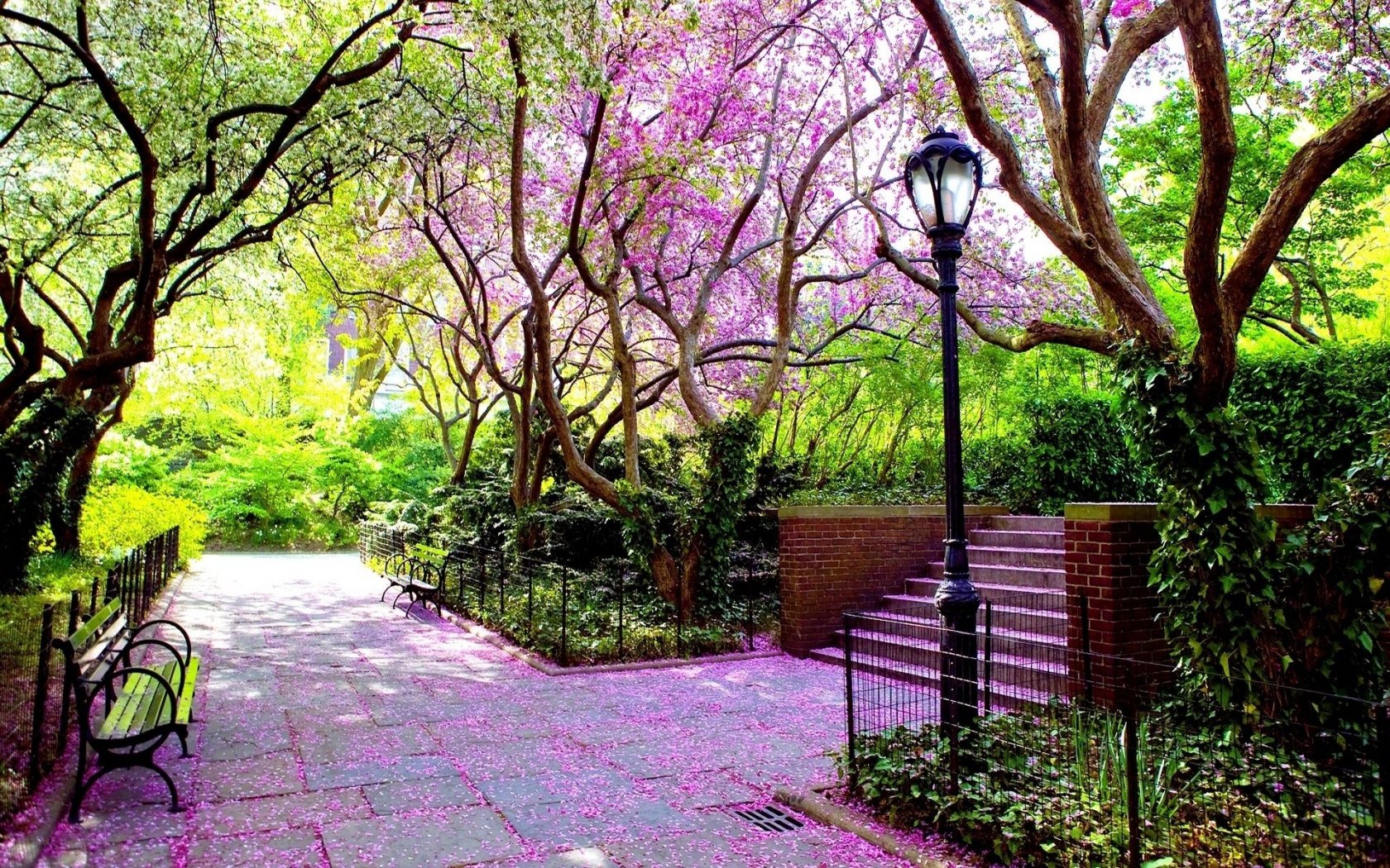 Beautiful Spring Park Wallpaper