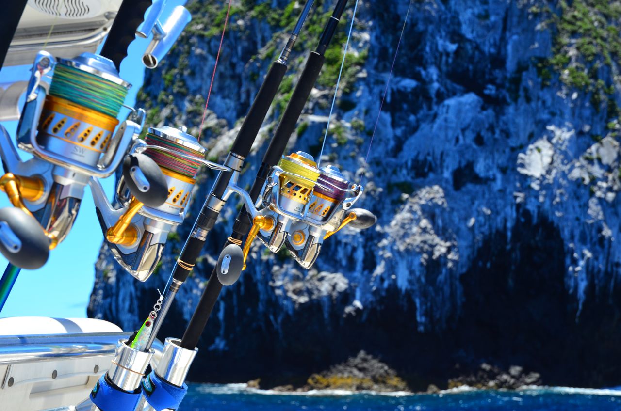 Best Sportfish Background