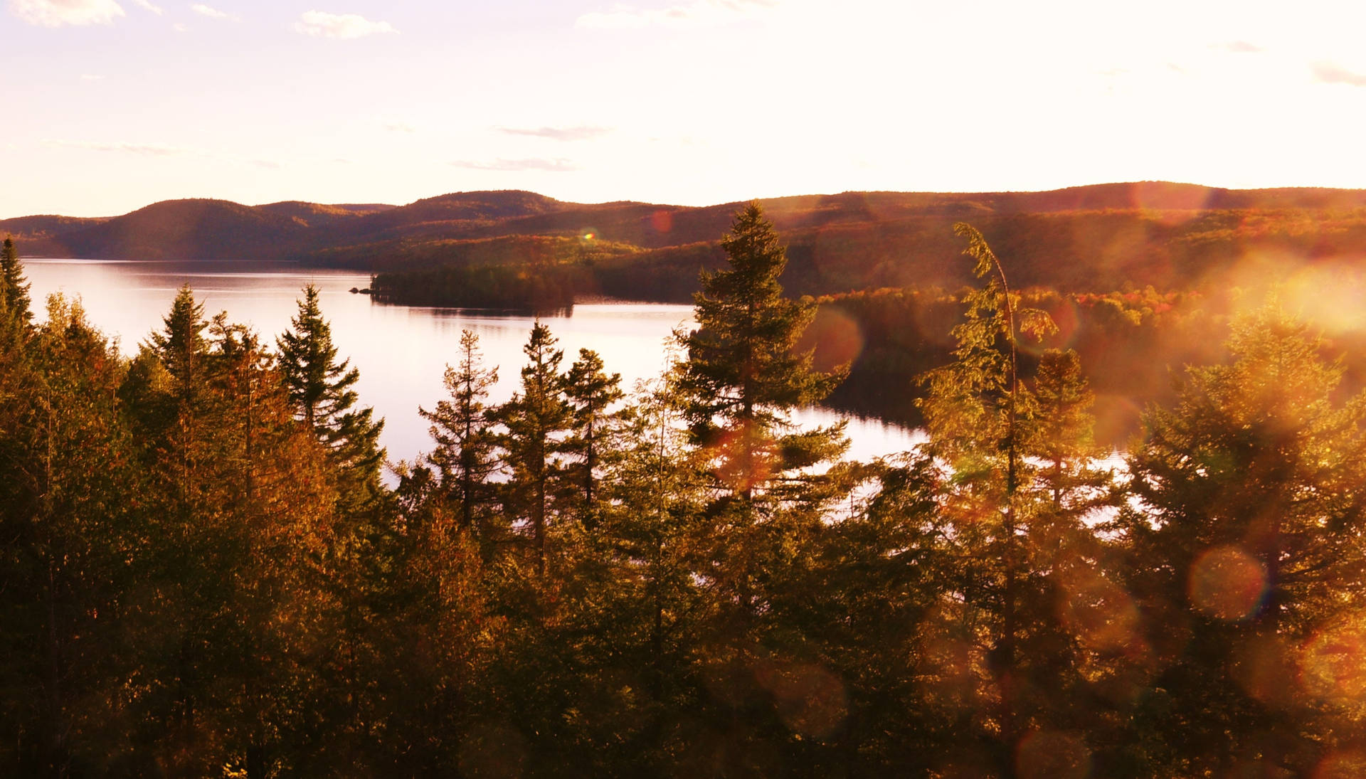 Forest Lake Wallpaper