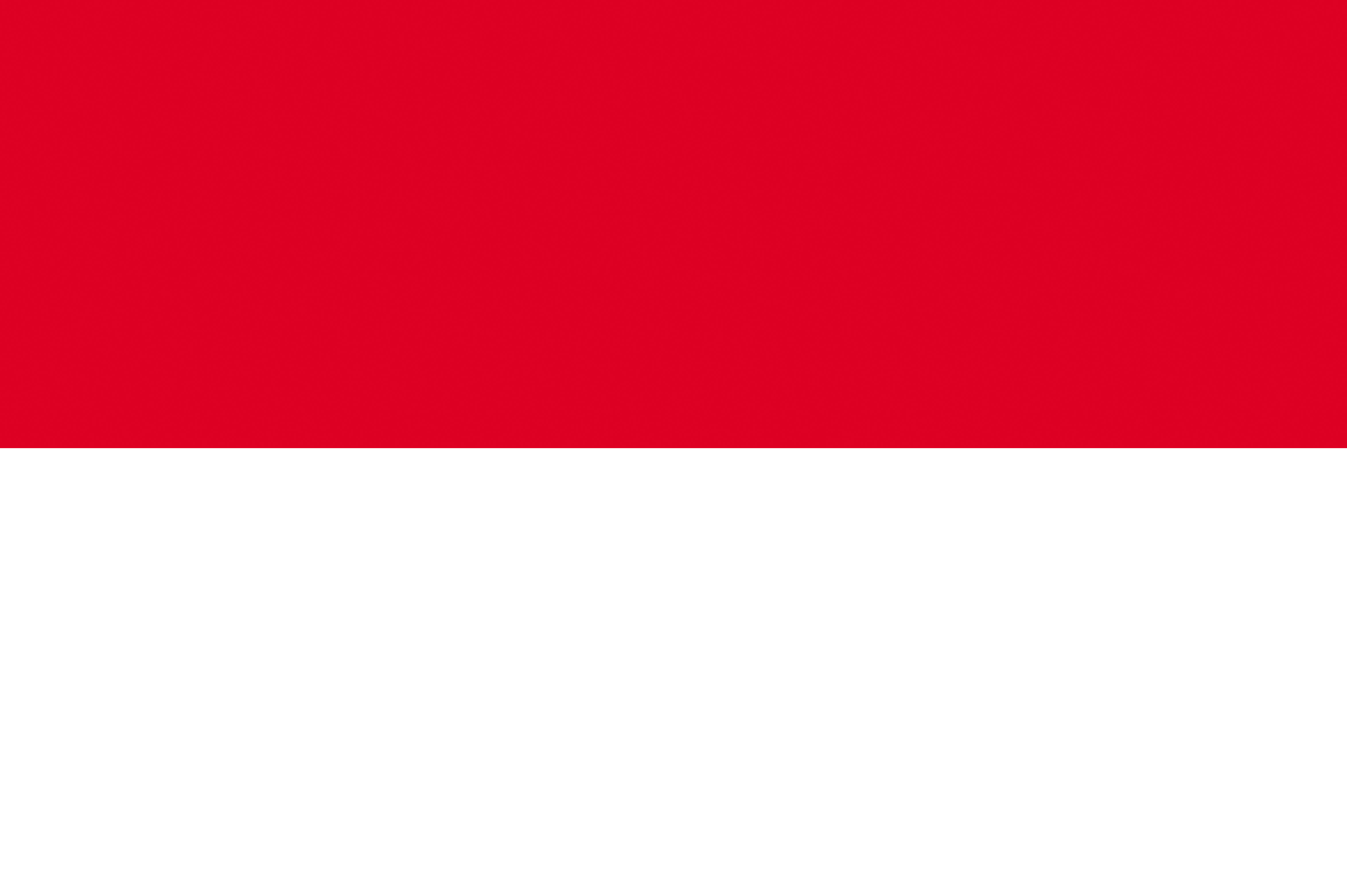 Photo Indonesia Flag Stripes