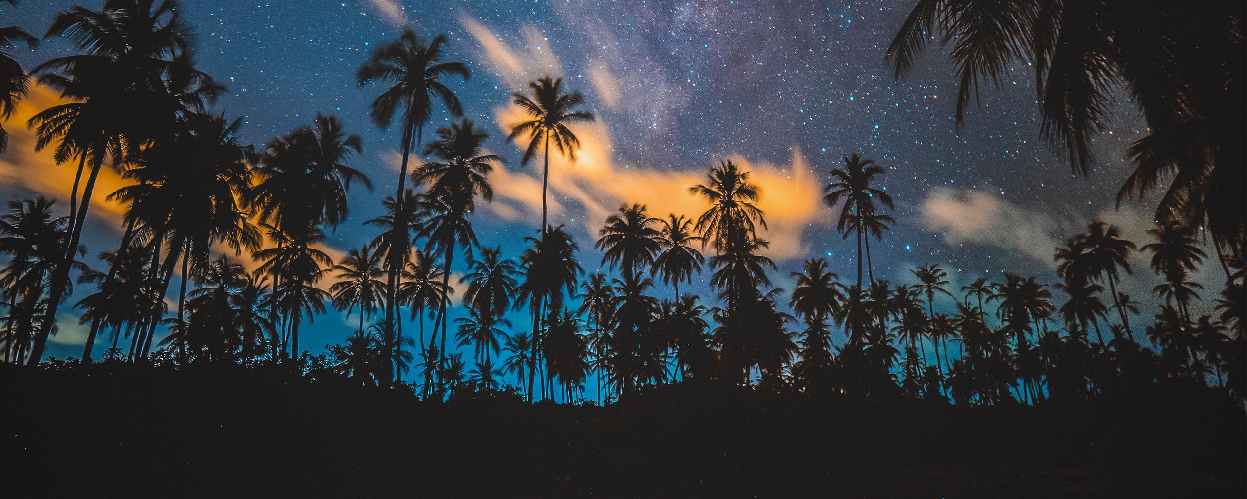 Wallpaper Palm Trees Starry Sky Milky Way