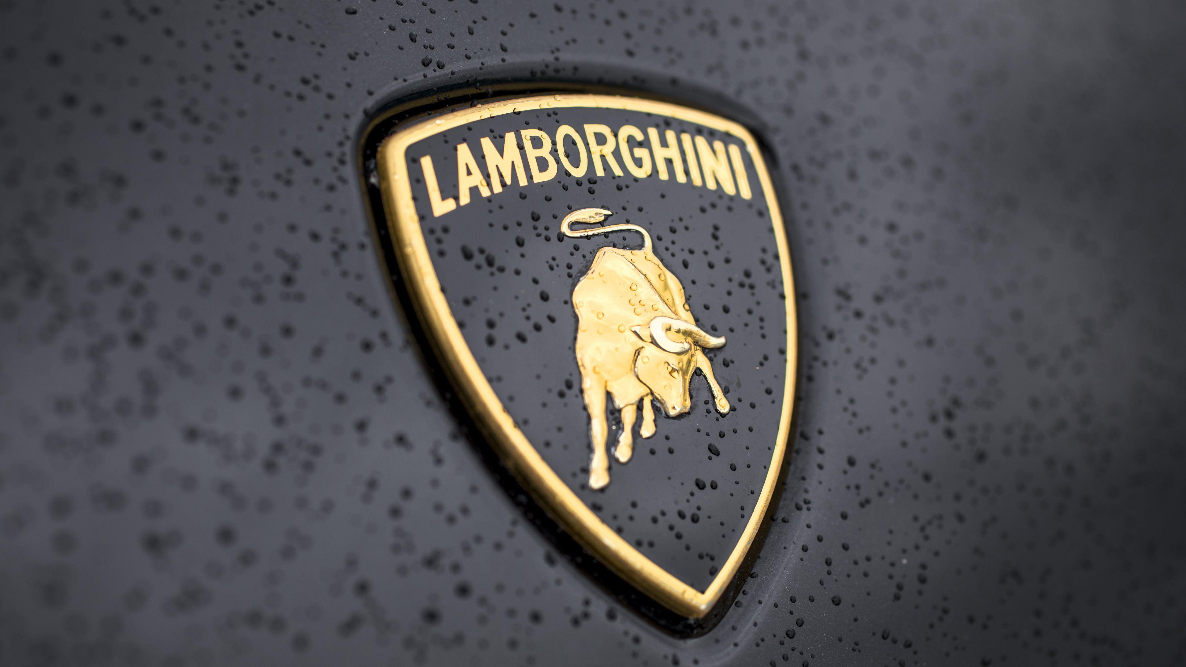 Lambhini Logo Wallpaper Top