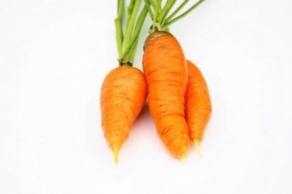 HD Carrot Wallpaper Best Pictures Collection