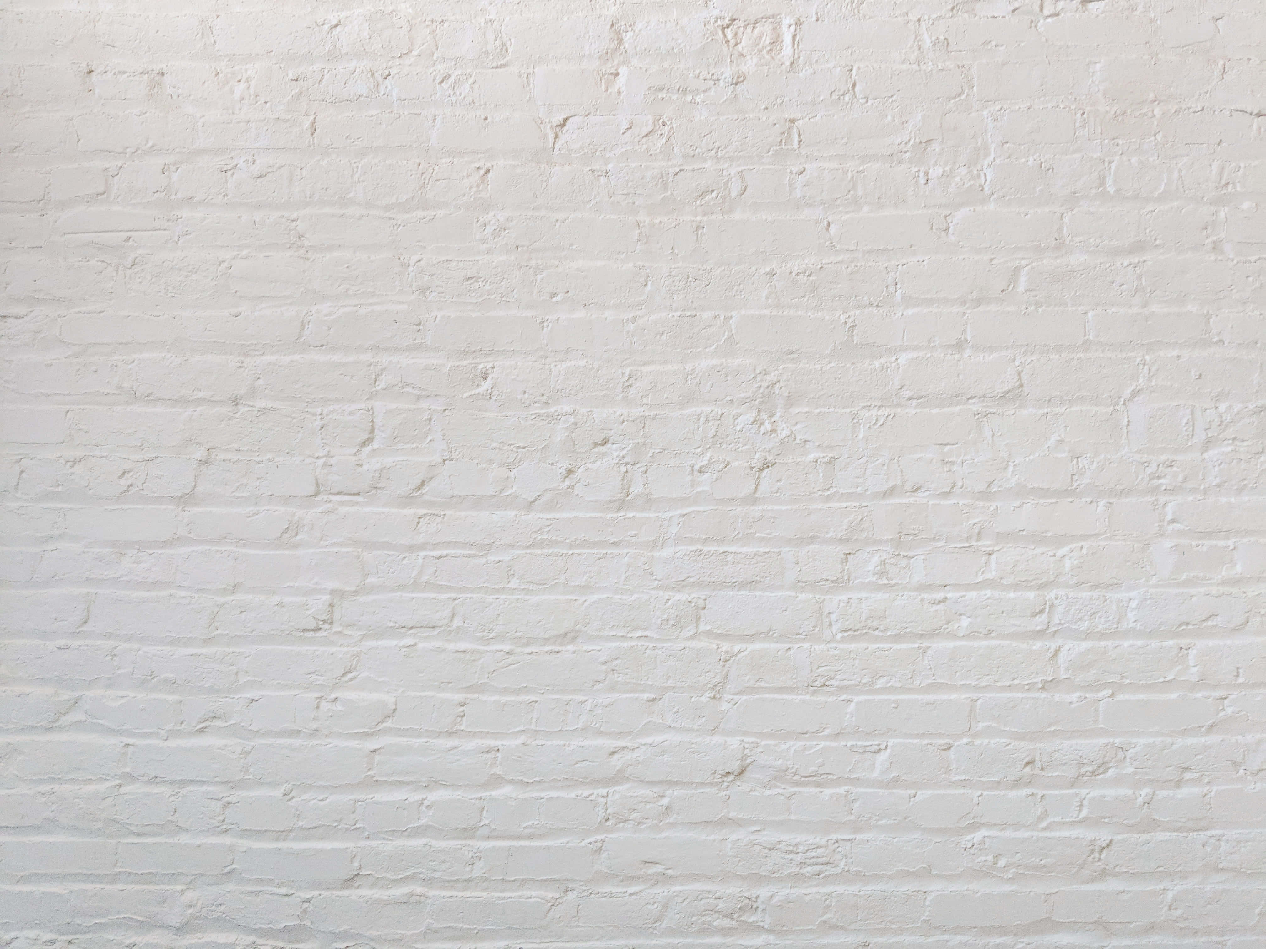 White Wall Background Wallpaper