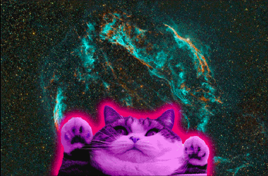 Cat Galaxy Wallpaper - WallpaperSafari