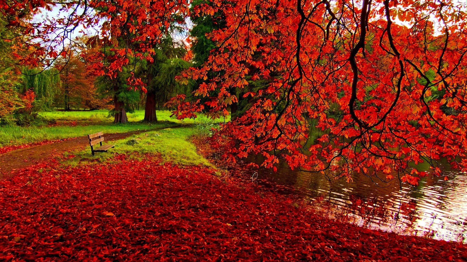 Fall Leaves Background Wallpapers WIN10 THEMES