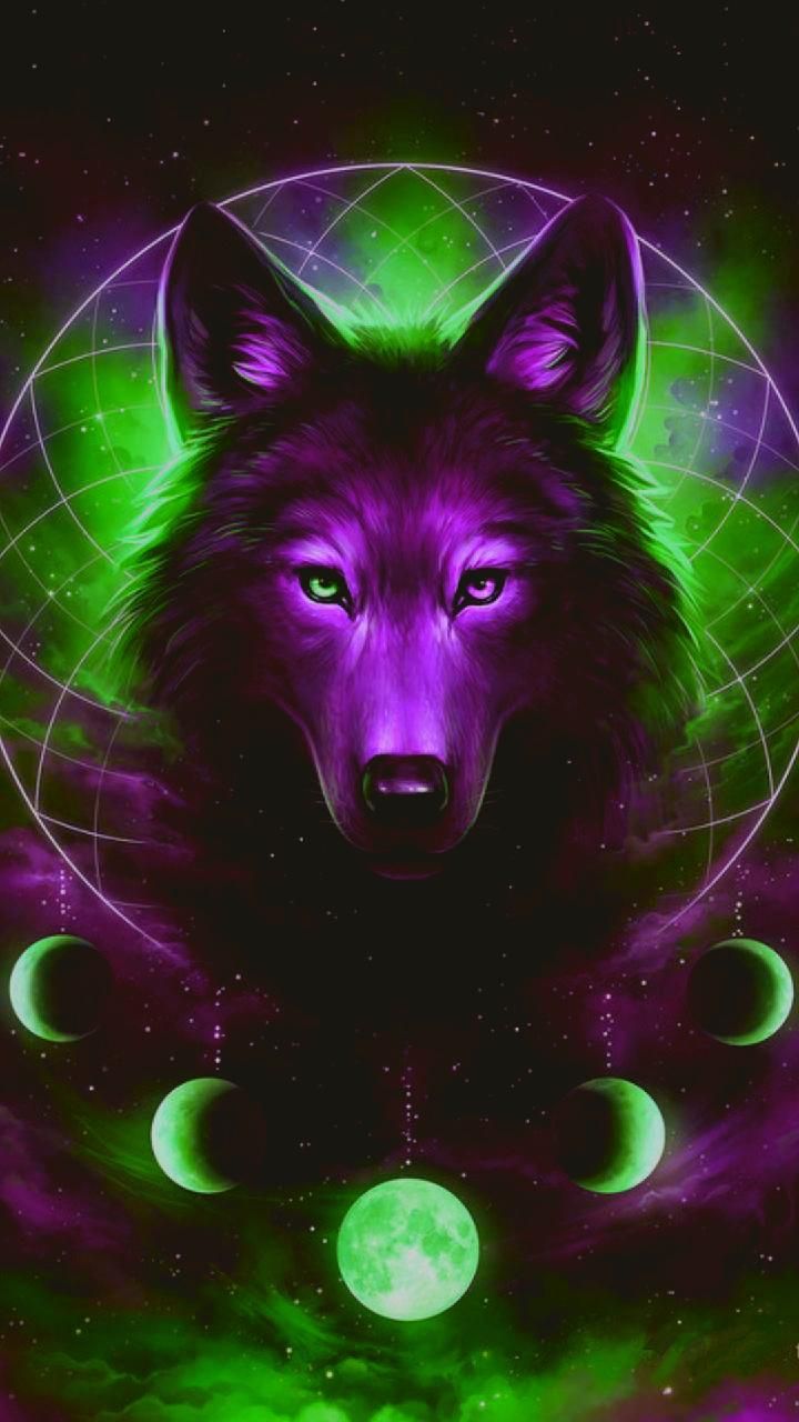 Galaxy Wolf Wallpaper Collections