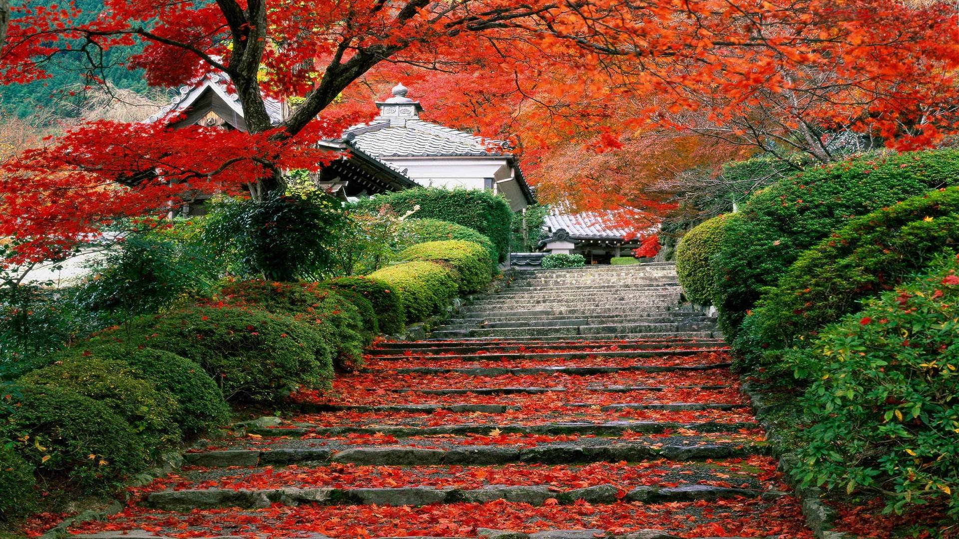 Japan Landscape Wallpaper Top Background