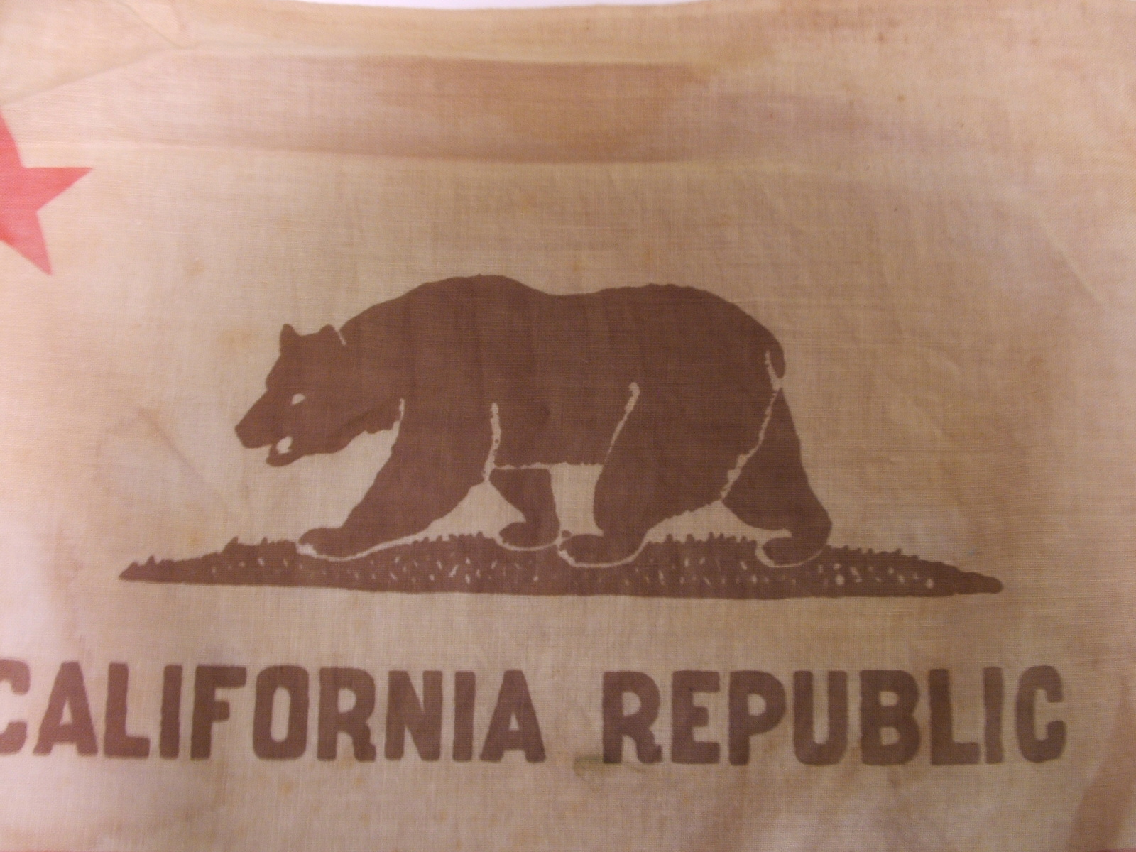 California Bear Wallpaper Republic