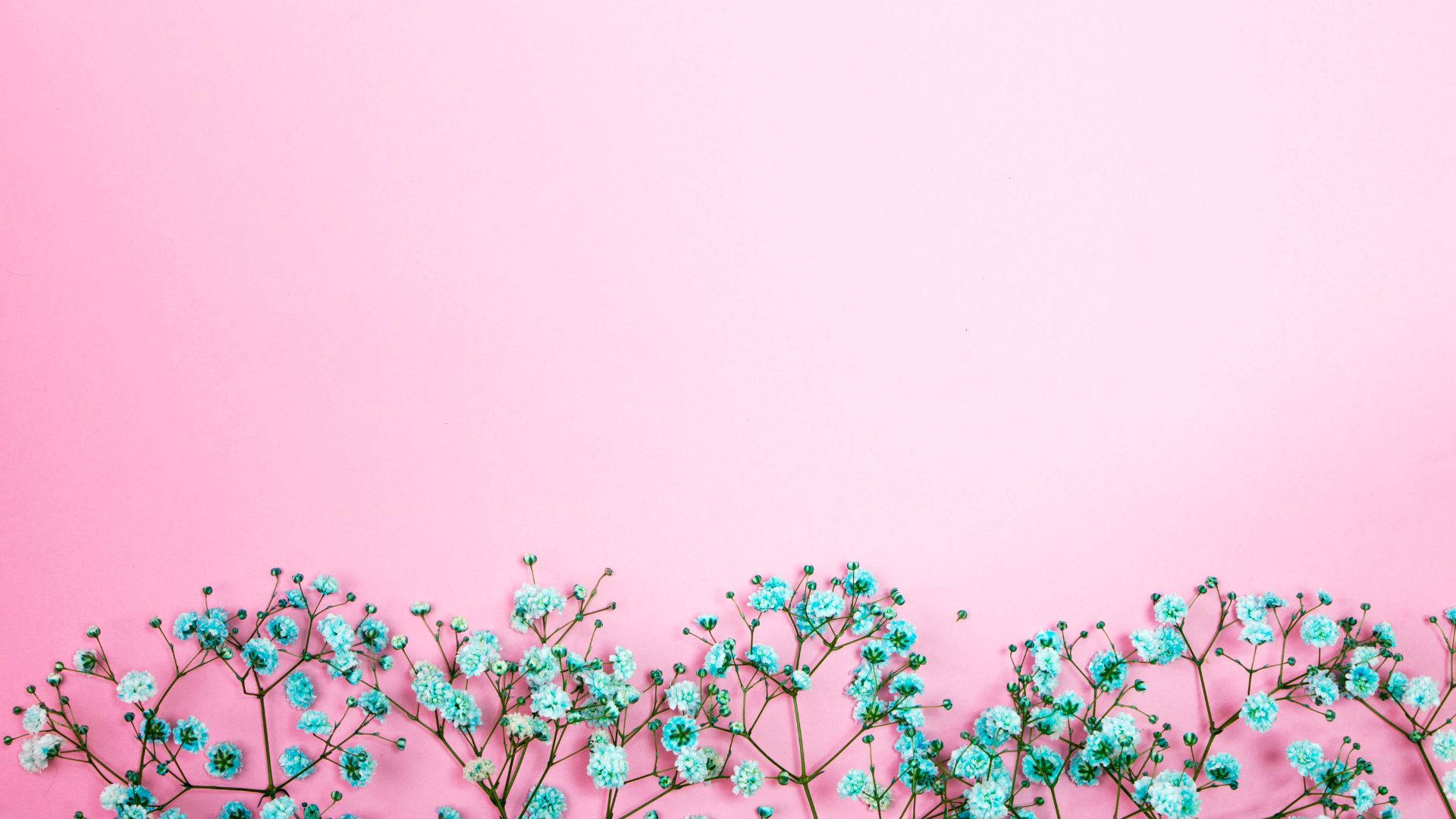 Baby Pink Wallpaper