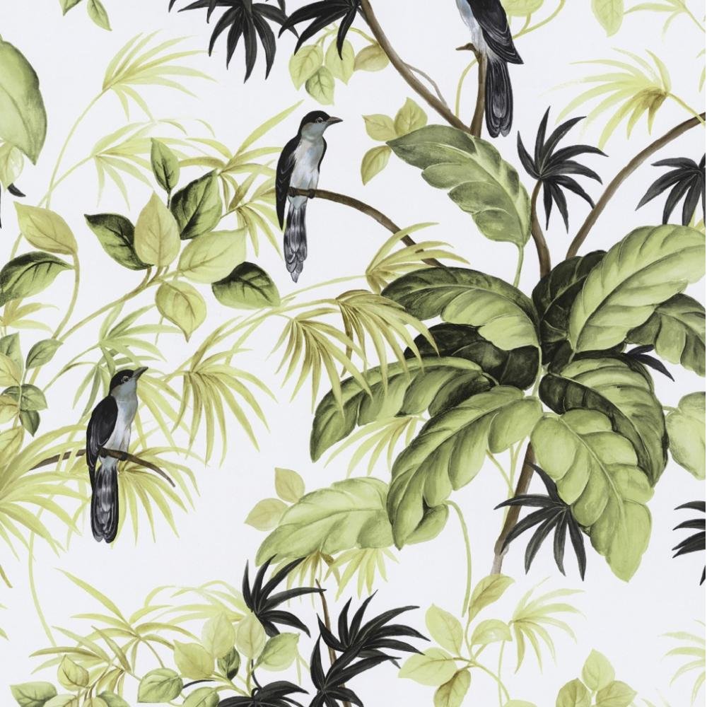 International Tropical Exotic Birds Trees Leaves Wallpaper