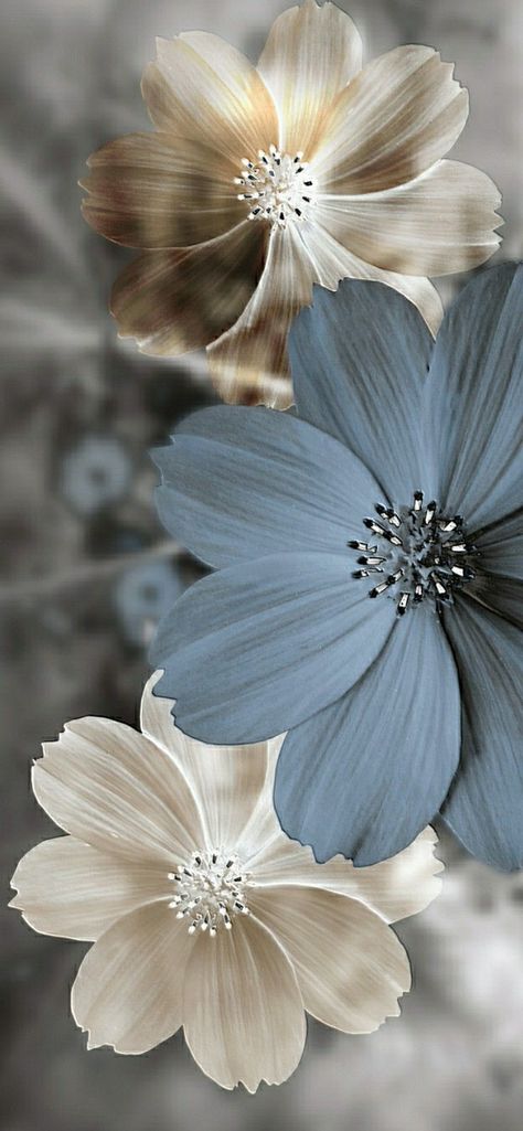 Cute White Flower Wallpaper