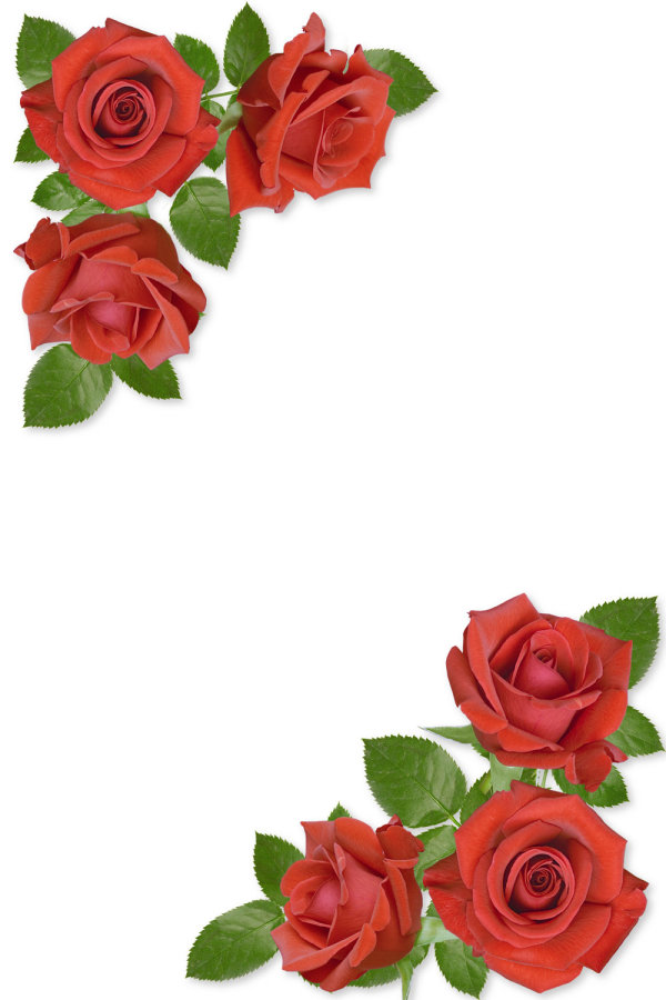 Red Roses Border Png