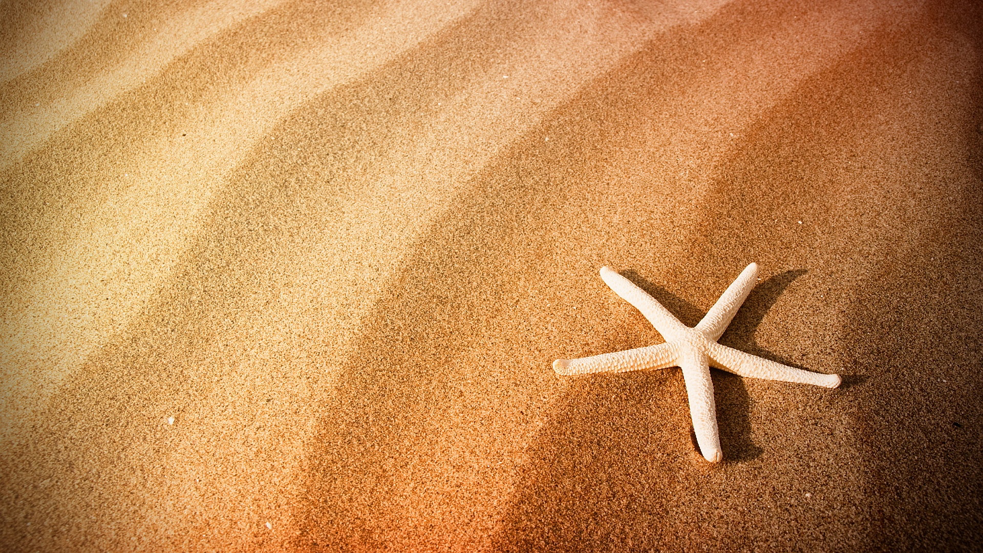 Free download Beach Sand Starfish Wallpaper In 1920X1080 Chainimage  [1920x1080] for your Desktop, Mobile & Tablet | Explore 32+ Sand Cartoon  Wallpapers | Sand Dunes Wallpaper, Sand Beach Wallpaper, Beach Sand  Wallpaper
