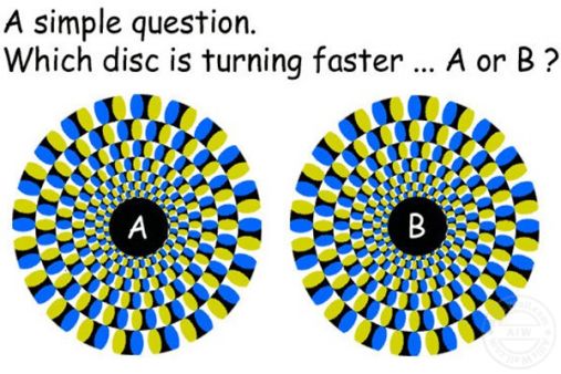 Optical Illusion Quiz HD Moving Wallpaper For Mobile And Desktop