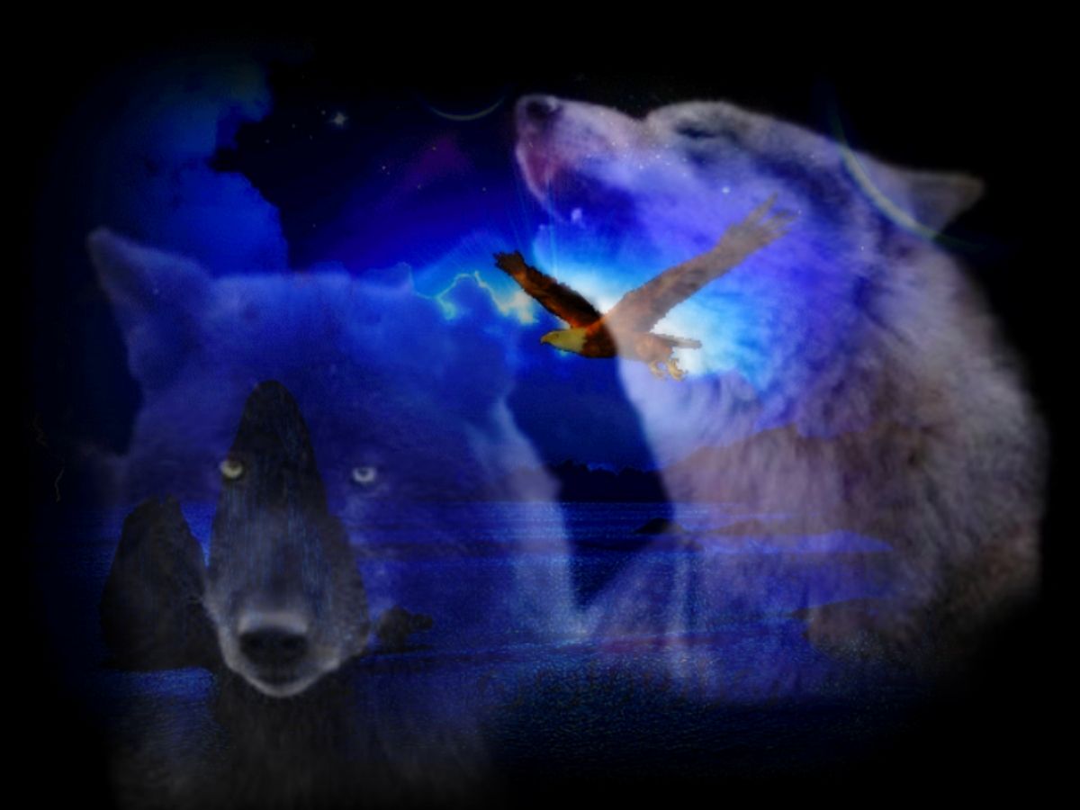 Wolf Spirits Abstract Clouds Colours Dogs Eagle Fantasy Flying