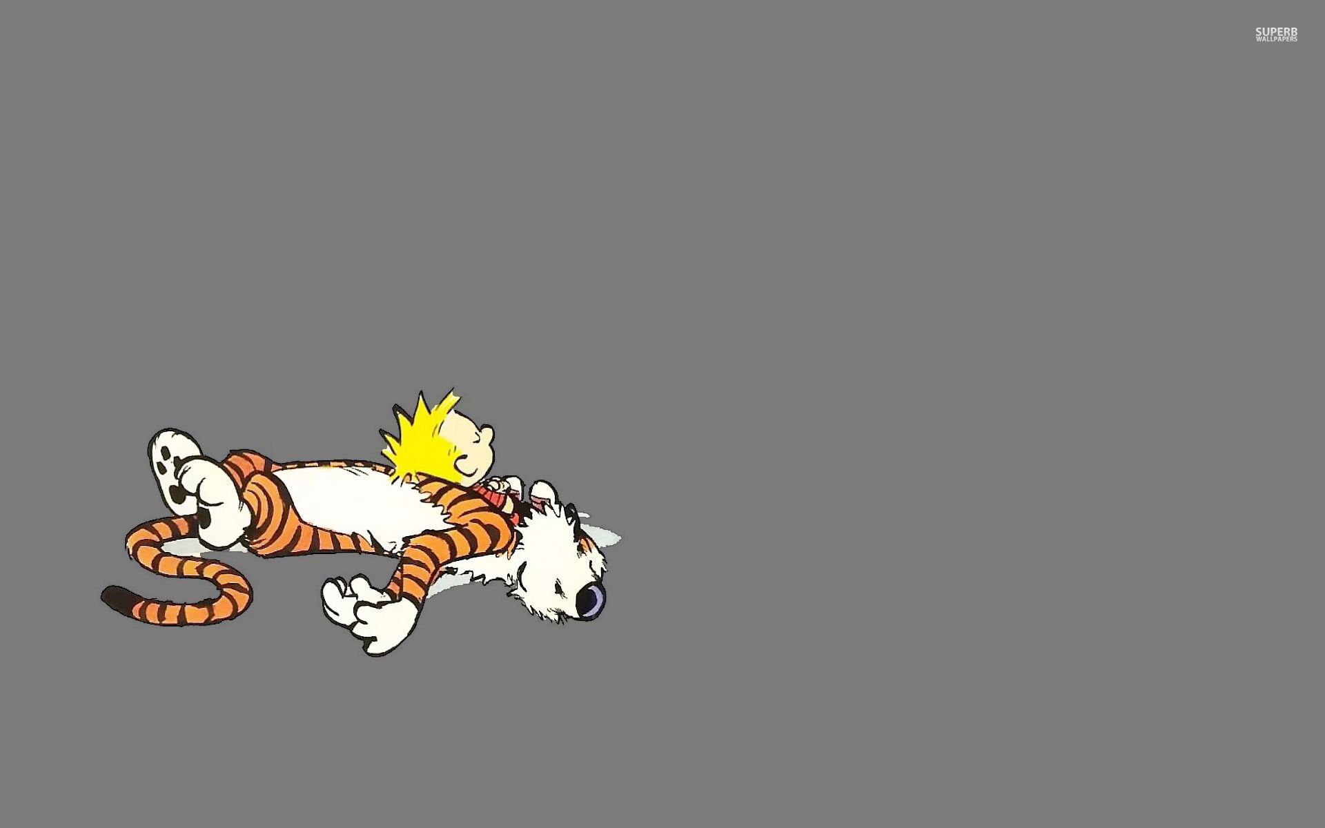 Calvin And Hobbes Wallpaper Full HD Search