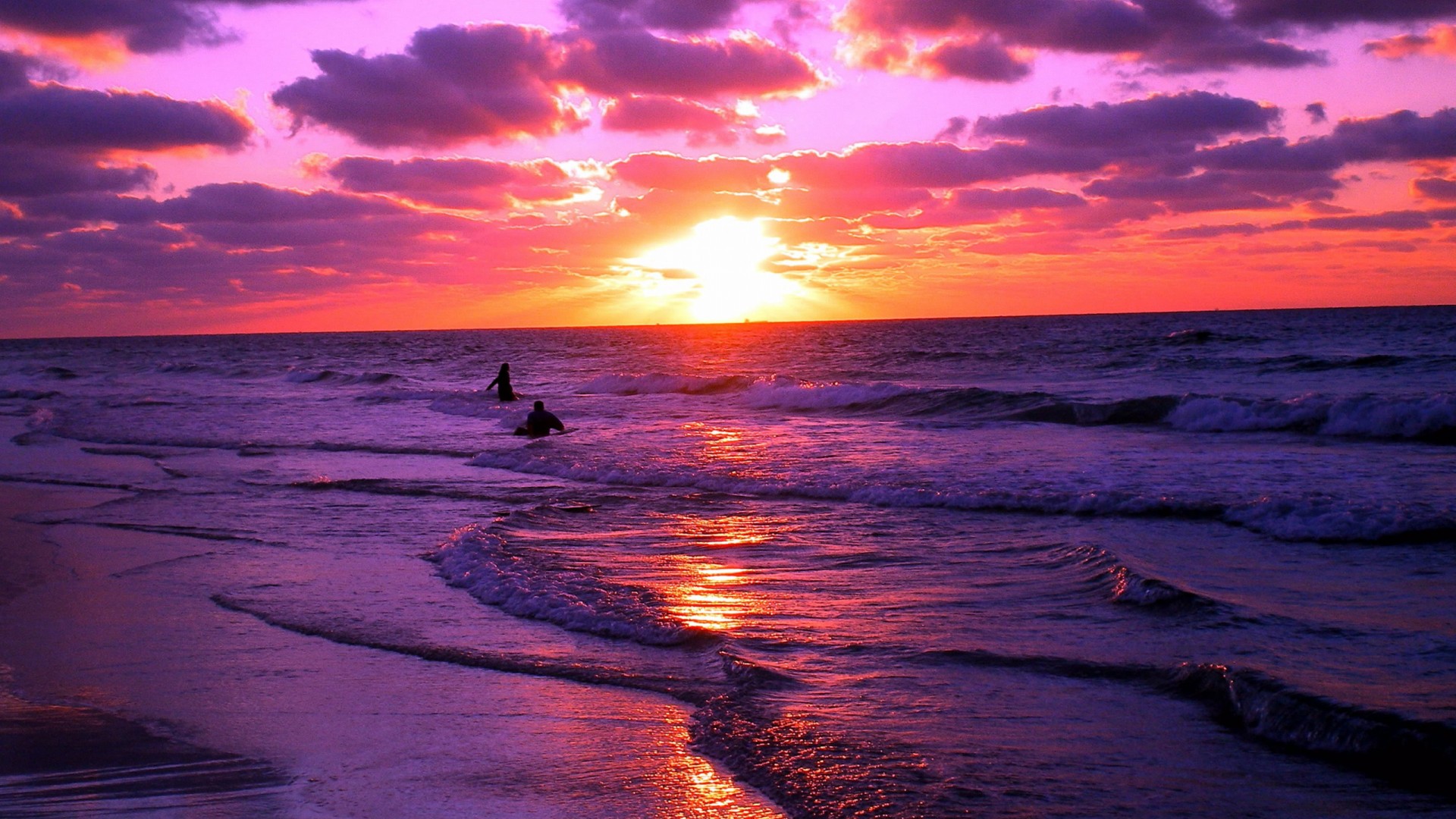 Purple Beach Sunset HD Wallpaper Background Images