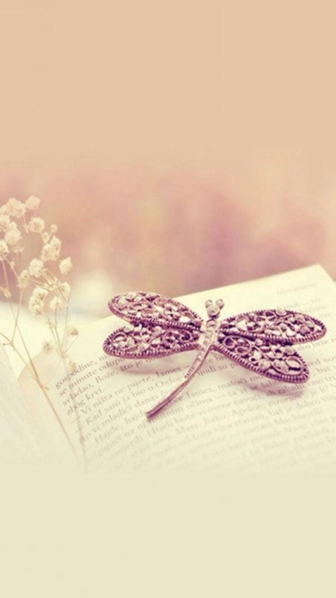 Butterfly Aesthetic Background Wallpaper