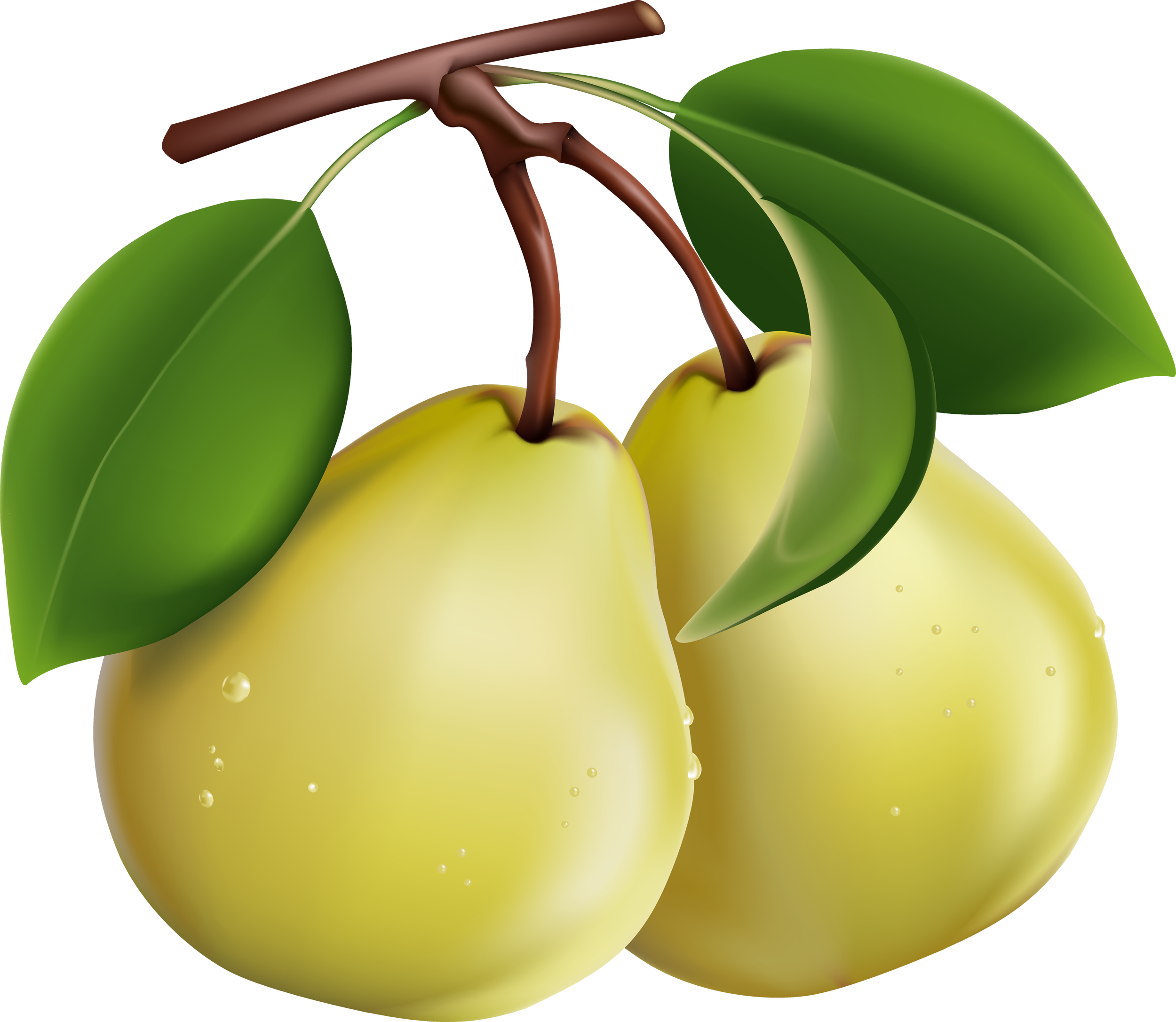 Pear Png And High Resolution Bitmap With Transparent Background