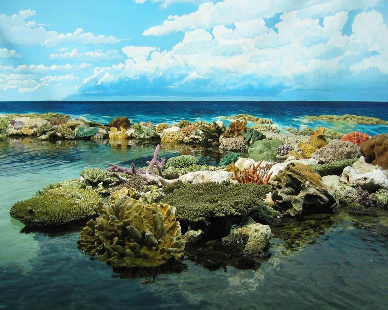 Great Barrier Reef Wallpaper
