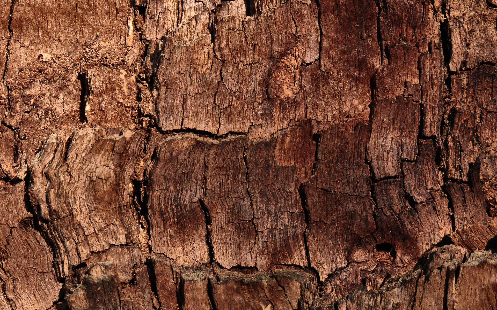 Wallpaper Brown Pattern Wood Bark Textures