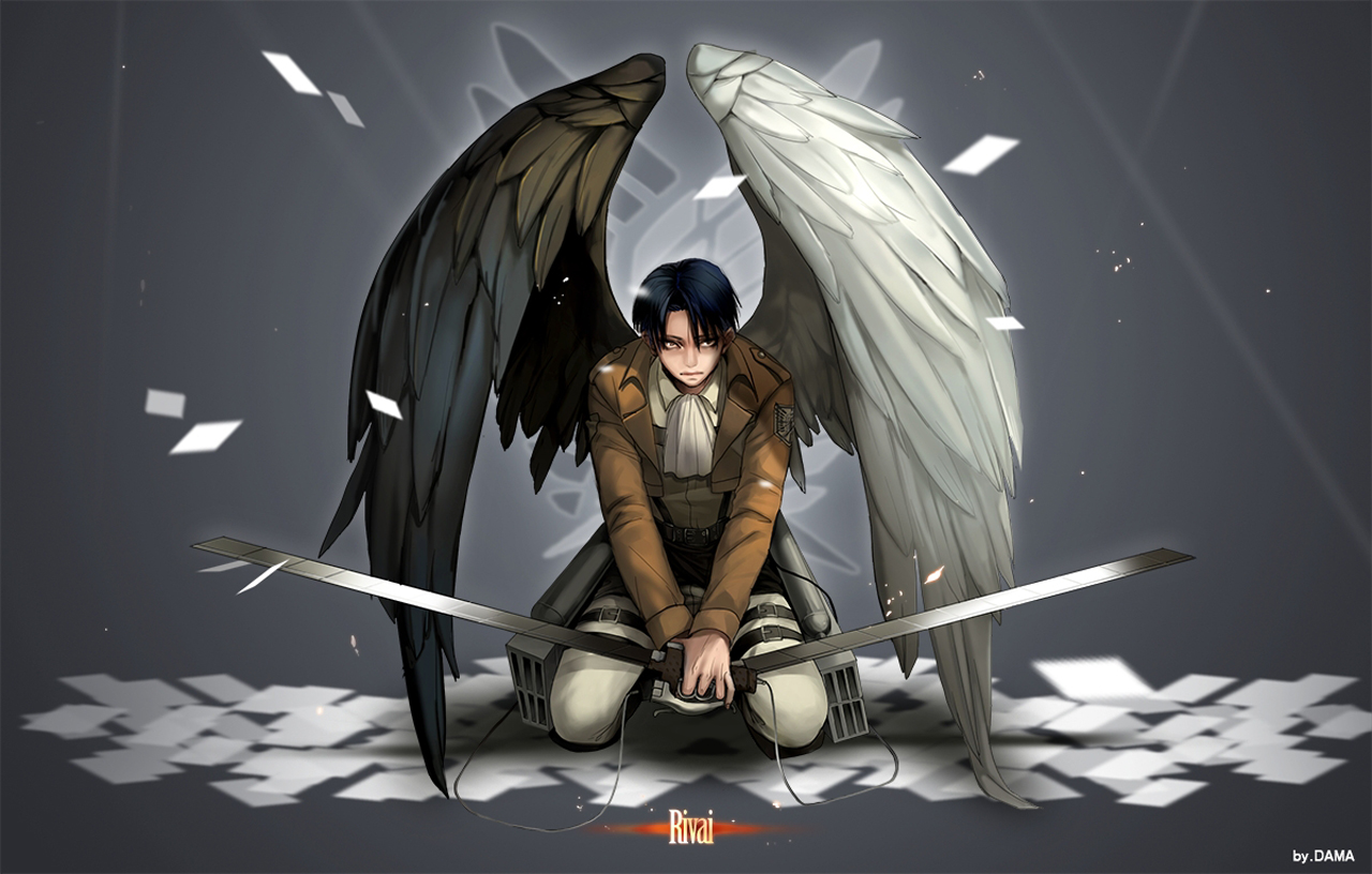 Levi Rivaille Anime Sword Blade White Black Wings HD Wallpaper Desktop