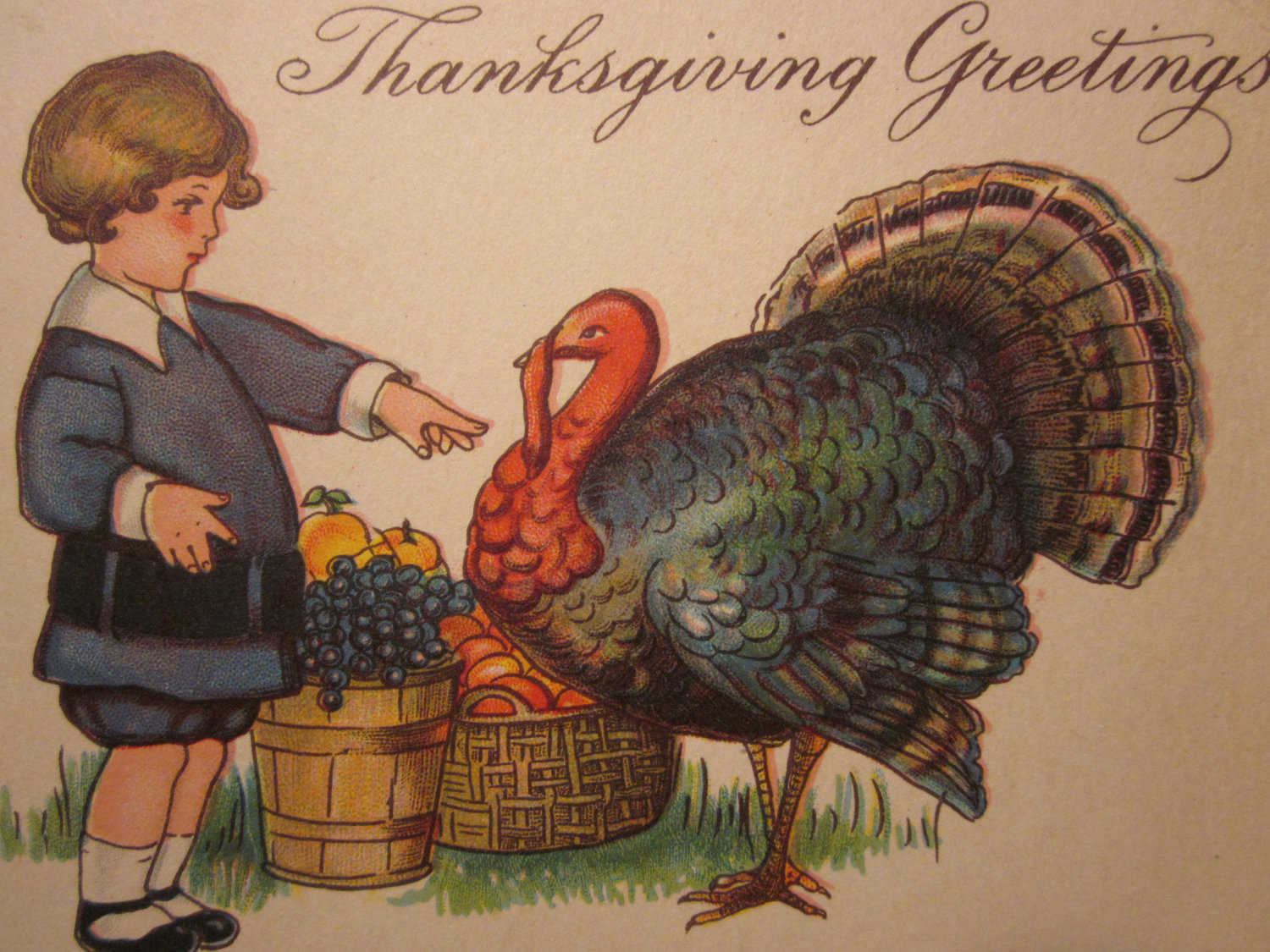 Unused Postcard Wishing You Joy And Thanksgiving Greetings With