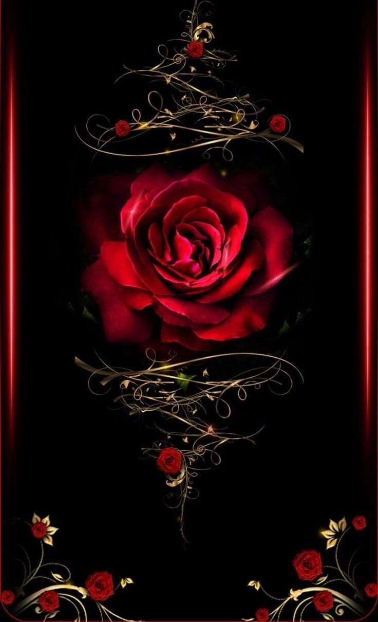 Hermosa Rosa Fantasy Art Dark In Flower